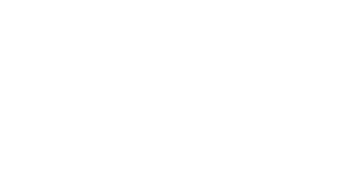 Elementi